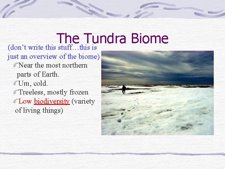The Tundra Biome (don’t write this stuff…this is just an overview of the biome)