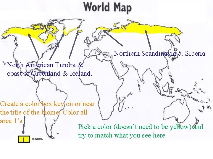 Northern Scandinavia & Siberia North American Tundra & coast of Greenland & Iceland. Create