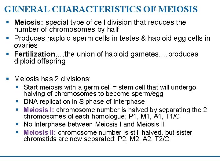 GENERAL CHARACTERISTICS OF MEIOSIS § Meiosis: special type of cell division that reduces the