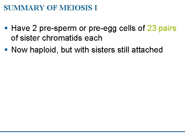 SUMMARY OF MEIOSIS I § Have 2 pre-sperm or pre-egg cells of 23 pairs