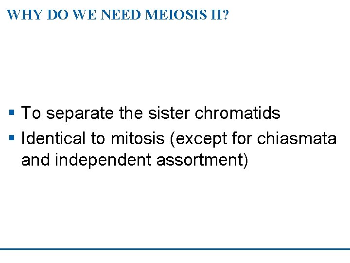 WHY DO WE NEED MEIOSIS II? § To separate the sister chromatids § Identical