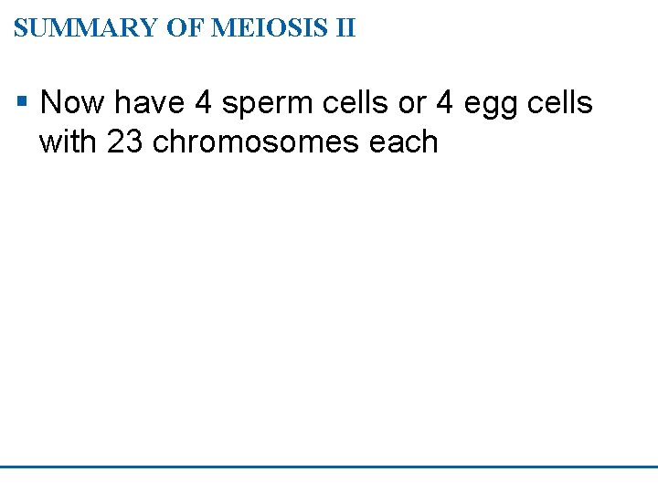 SUMMARY OF MEIOSIS II § Now have 4 sperm cells or 4 egg cells