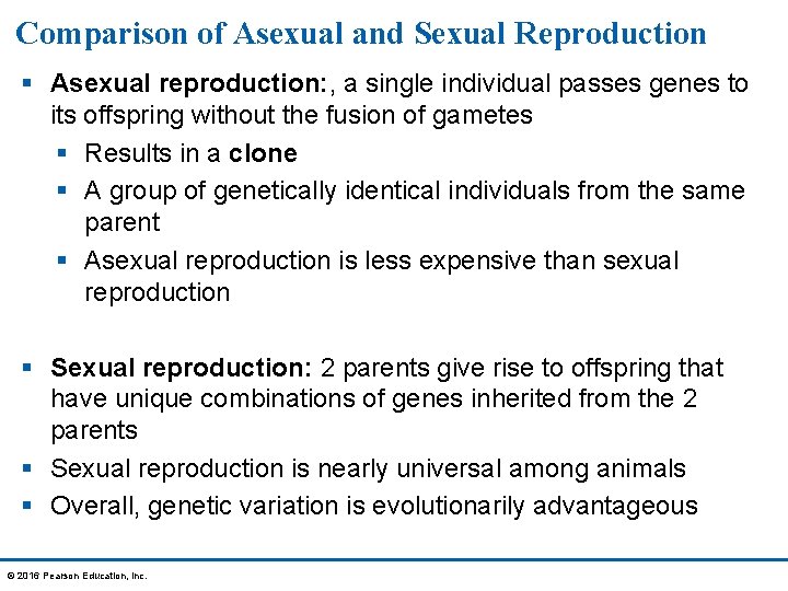 Comparison of Asexual and Sexual Reproduction § Asexual reproduction: , a single individual passes