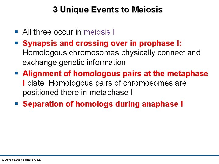 3 Unique Events to Meiosis § All three occur in meiosis l § Synapsis