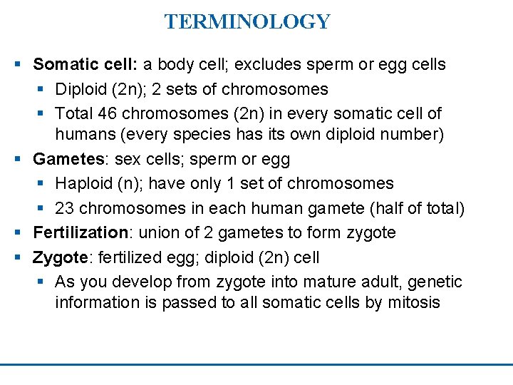 TERMINOLOGY § Somatic cell: a body cell; excludes sperm or egg cells § Diploid