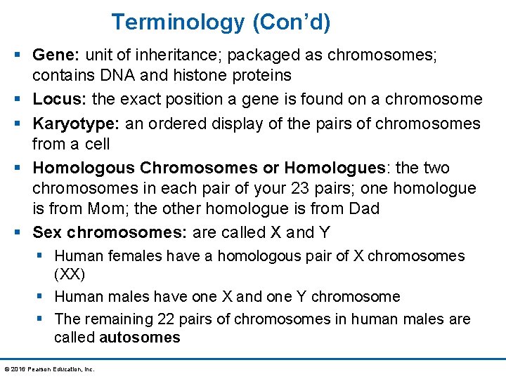 Terminology (Con’d) § Gene: unit of inheritance; packaged as chromosomes; contains DNA and histone