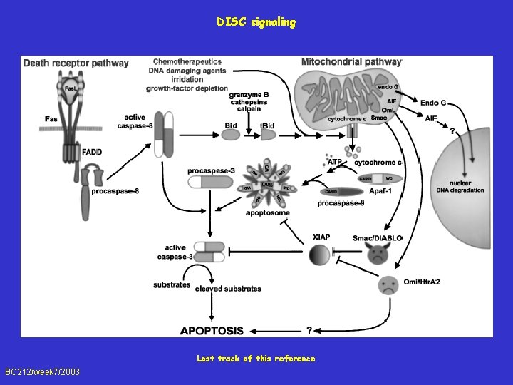 DISC signaling Lost track of this reference BC 212/week 7/2003 