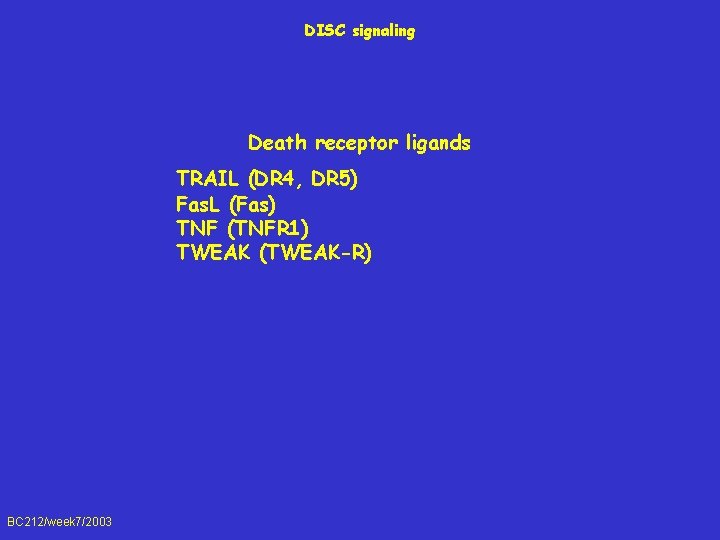 DISC signaling Death receptor ligands TRAIL (DR 4, DR 5) Fas. L (Fas) TNF