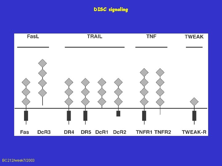 DISC signaling BC 212/week 7/2003 