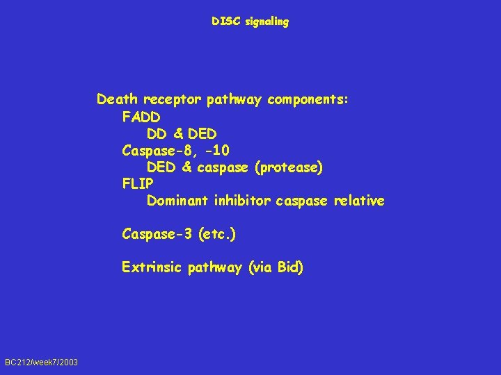 DISC signaling Death receptor pathway components: FADD DD & DED Caspase-8, -10 DED &