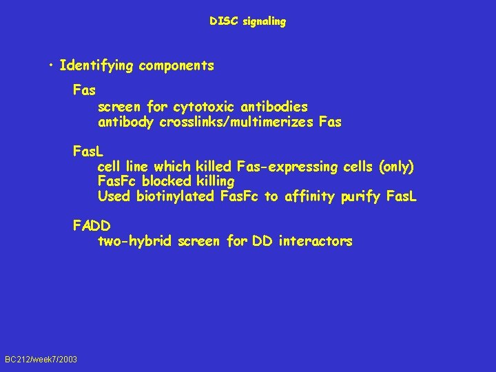 DISC signaling • Identifying components Fas screen for cytotoxic antibodies antibody crosslinks/multimerizes Fas. L