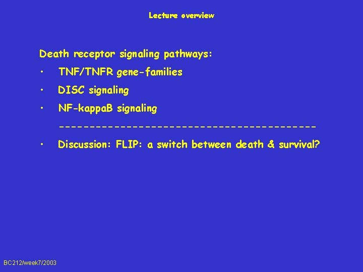 Lecture overview Death receptor signaling pathways: • TNF/TNFR gene-families • DISC signaling • NF-kappa.