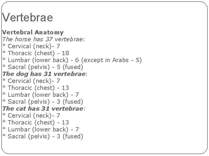 Vertebrae Vertebral Anatomy The horse has 37 vertebrae: * Cervical (neck)- 7 * Thoracic