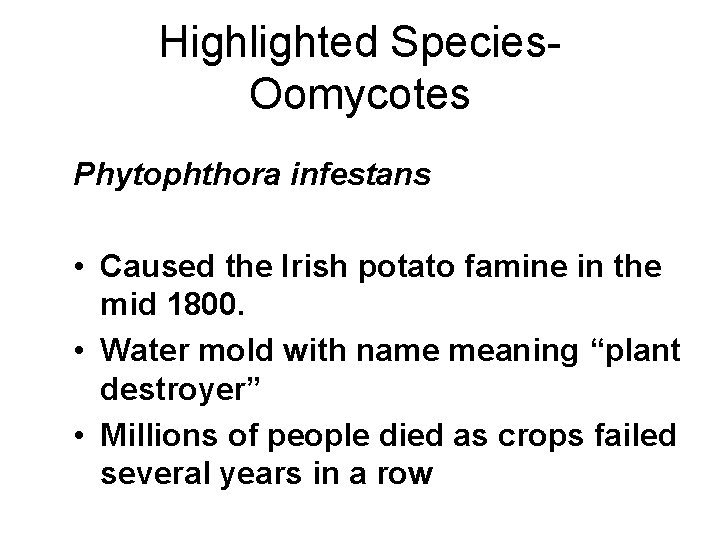 Highlighted Species. Oomycotes Phytophthora infestans • Caused the Irish potato famine in the mid