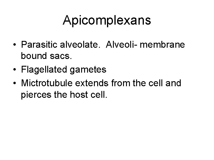 Apicomplexans • Parasitic alveolate. Alveoli- membrane bound sacs. • Flagellated gametes • Mictrotubule extends