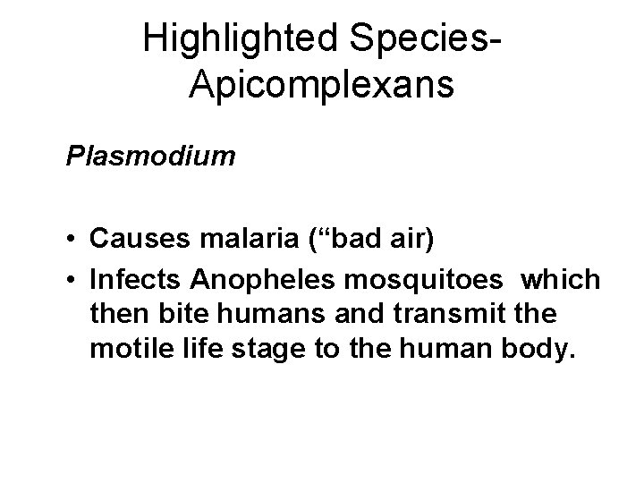 Highlighted Species. Apicomplexans Plasmodium • Causes malaria (“bad air) • Infects Anopheles mosquitoes which