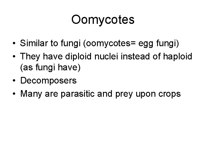 Oomycotes • Similar to fungi (oomycotes= egg fungi) • They have diploid nuclei instead