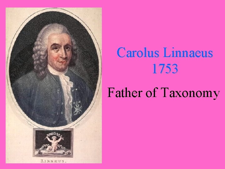 Carolus Linnaeus 1753 Father of Taxonomy 