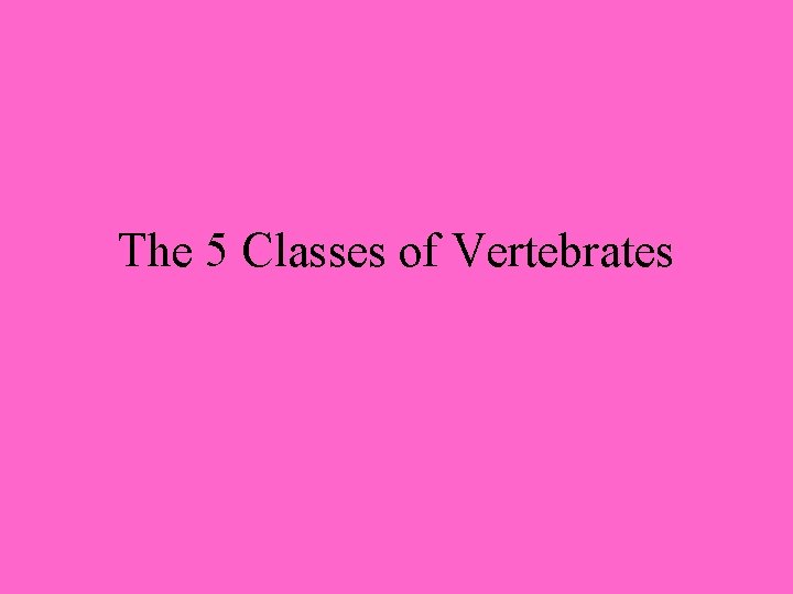 The 5 Classes of Vertebrates 