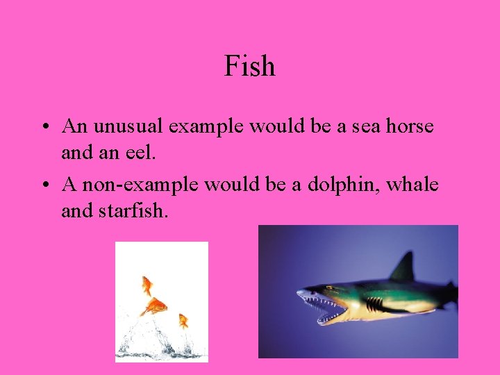Fish • An unusual example would be a sea horse and an eel. •