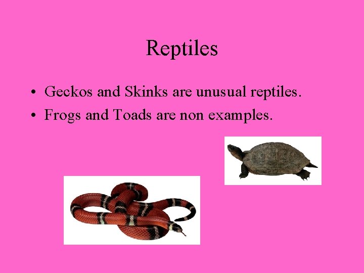 Reptiles • Geckos and Skinks are unusual reptiles. • Frogs and Toads are non