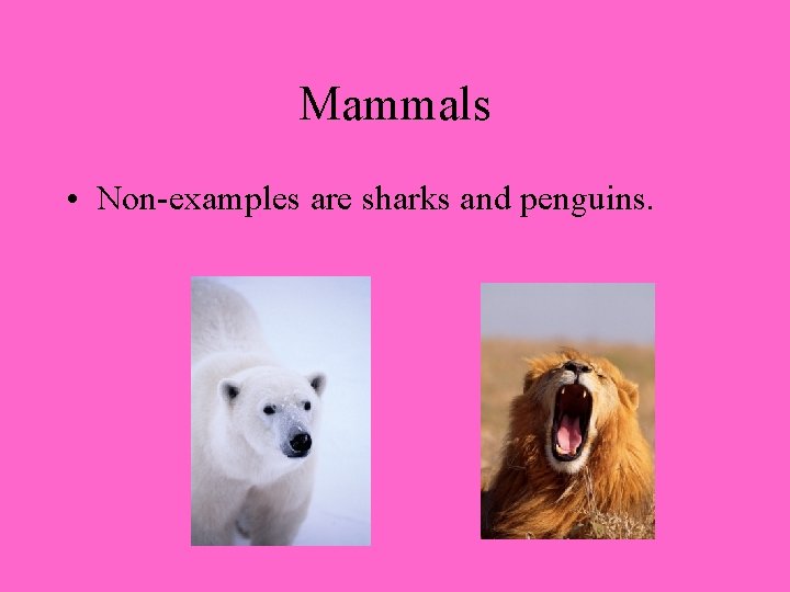 Mammals • Non-examples are sharks and penguins. 