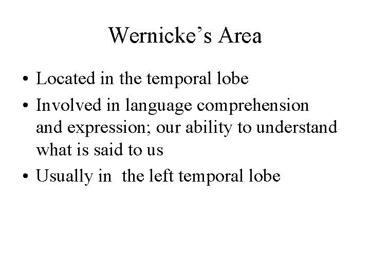 Wernicke’s Area • Located in the temporal lobe • Involved in language comprehension and