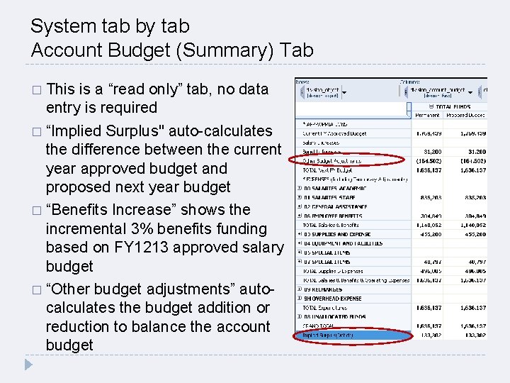 System tab by tab Account Budget (Summary) Tab � This is a “read only”