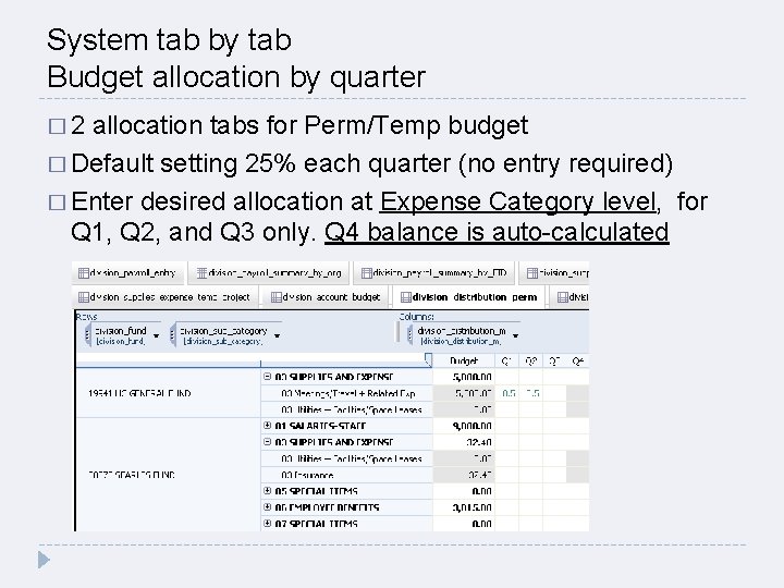 System tab by tab Budget allocation by quarter � 2 allocation tabs for Perm/Temp