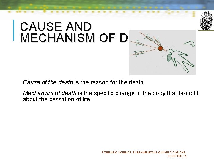 CAUSE AND MECHANISM OF DEATH Cause of the death is the reason for the