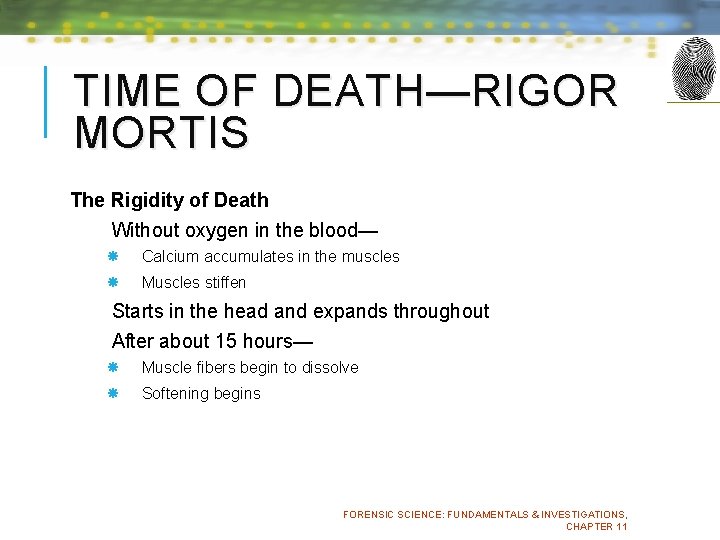 TIME OF DEATH—RIGOR MORTIS The Rigidity of Death Without oxygen in the blood— Calcium