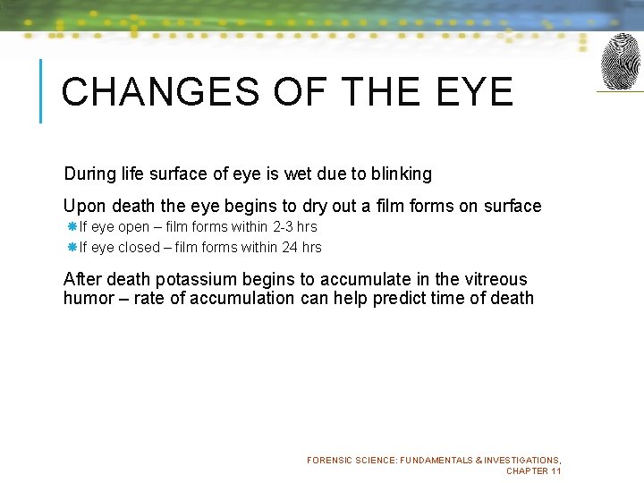 CHANGES OF THE EYE During life surface of eye is wet due to blinking