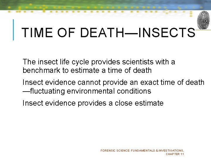 TIME OF DEATH—INSECTS The insect life cycle provides scientists with a benchmark to estimate