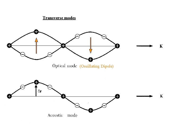 Transverse modes (Oscillating Dipole) r 