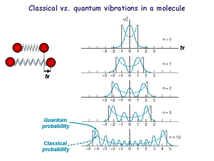 Classical vs. quantum vibrations in a molecule r r Quantum probability Classical probability 