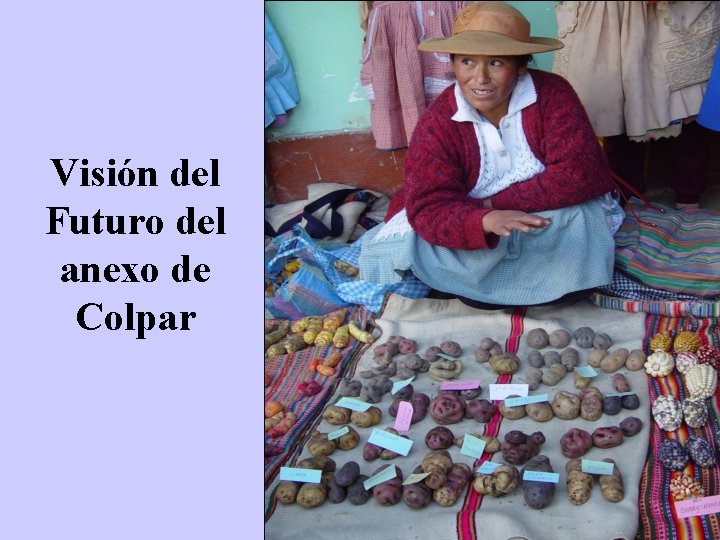 Visión del Futuro del anexo de Colpar 