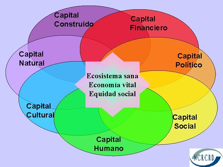 Capital Construido Capital Financiero Capital Natural Capital Político Ecosistema sana Economía vital Equidad social