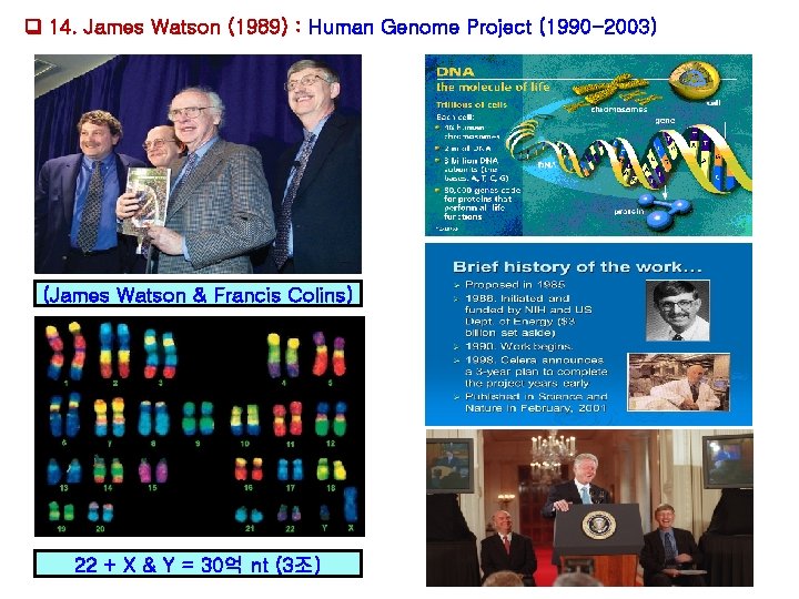 14. James Watson (1989) : Human Genome Project (1990 -2003) (James Watson & 14. James Watson (1989) : Human Genome Project (1990 -2003) (James Watson &