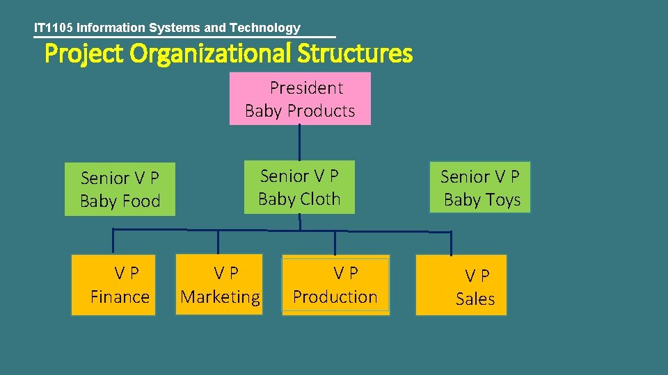 IT 1105 Information Systems and Technology Project Organizational Structures President Baby Products Senior V