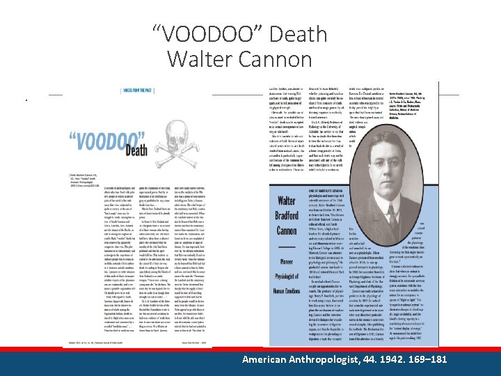 “VOODOO” Death Walter Cannon . American Anthropologist, 44. 1942. 169– 181 