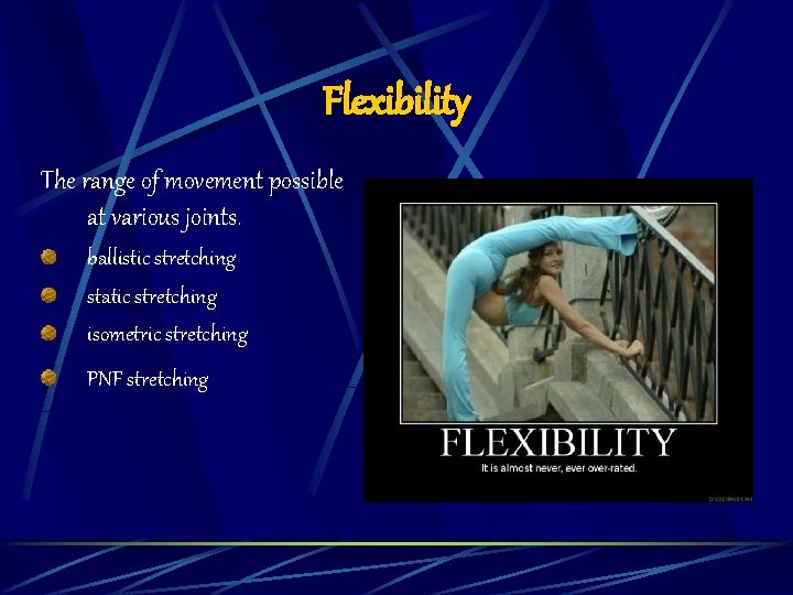 Flexibility The range of movement possible at various joints. ballistic stretching static stretching isometric