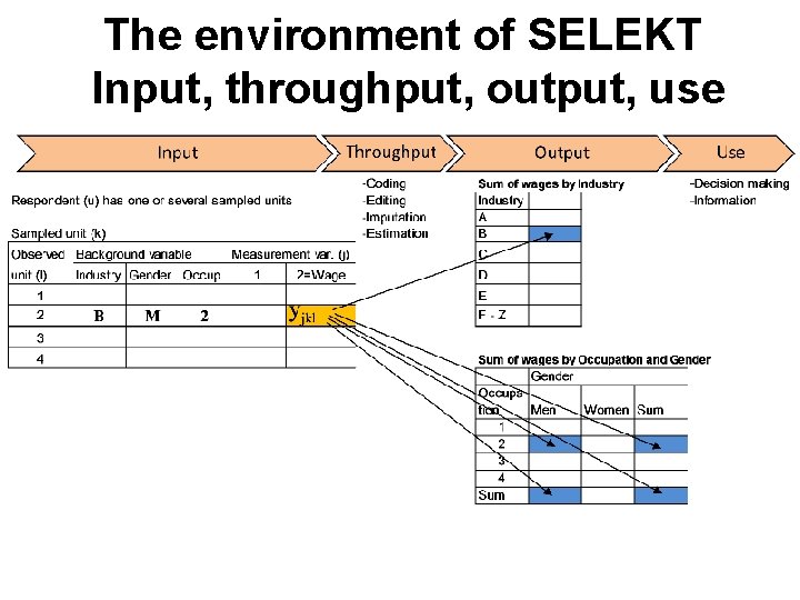 The environment of SELEKT Input, throughput, output, use 