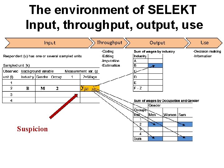 The environment of SELEKT Input, throughput, output, use Suspicion 