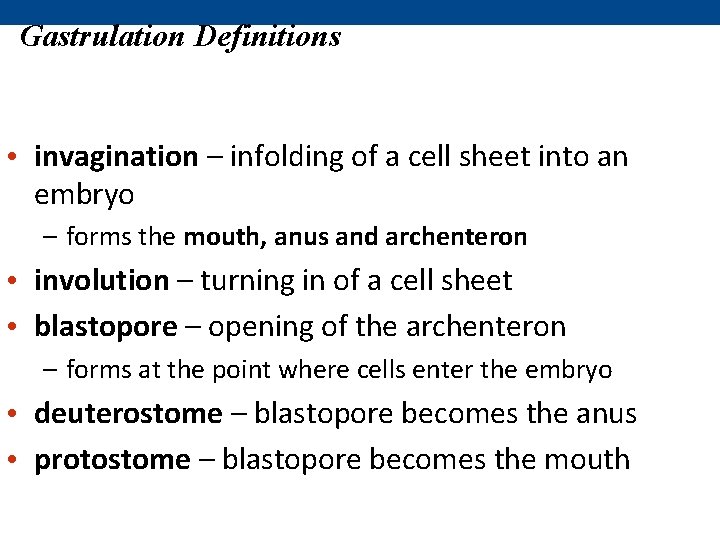 Gastrulation Definitions • invagination – infolding of a cell sheet into an embryo –