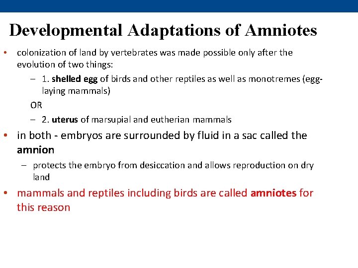 Developmental Adaptations of Amniotes • colonization of land by vertebrates was made possible only