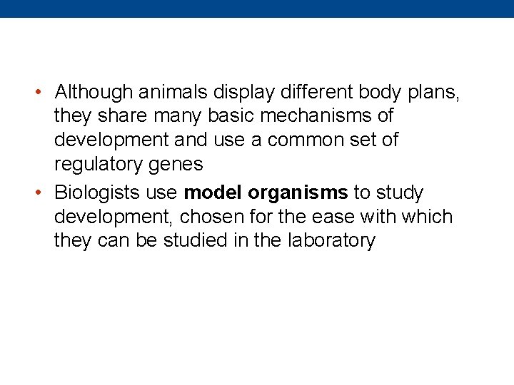 • Although animals display different body plans, they share many basic mechanisms of  • Although animals display different body plans, they share many basic mechanisms of