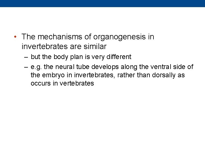  • The mechanisms of organogenesis in invertebrates are similar – but the body