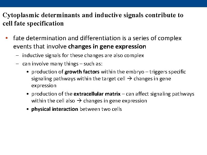 Cytoplasmic determinants and inductive signals contribute to cell fate specification • fate determination and Cytoplasmic determinants and inductive signals contribute to cell fate specification • fate determination and