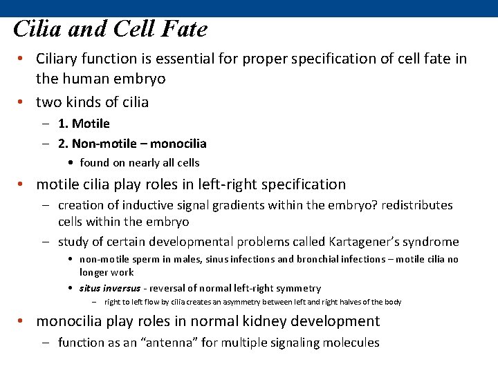 Cilia and Cell Fate • Ciliary function is essential for proper specification of cell Cilia and Cell Fate • Ciliary function is essential for proper specification of cell