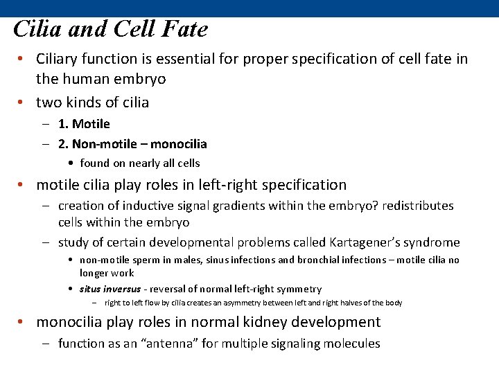 Cilia and Cell Fate • Ciliary function is essential for proper specification of cell